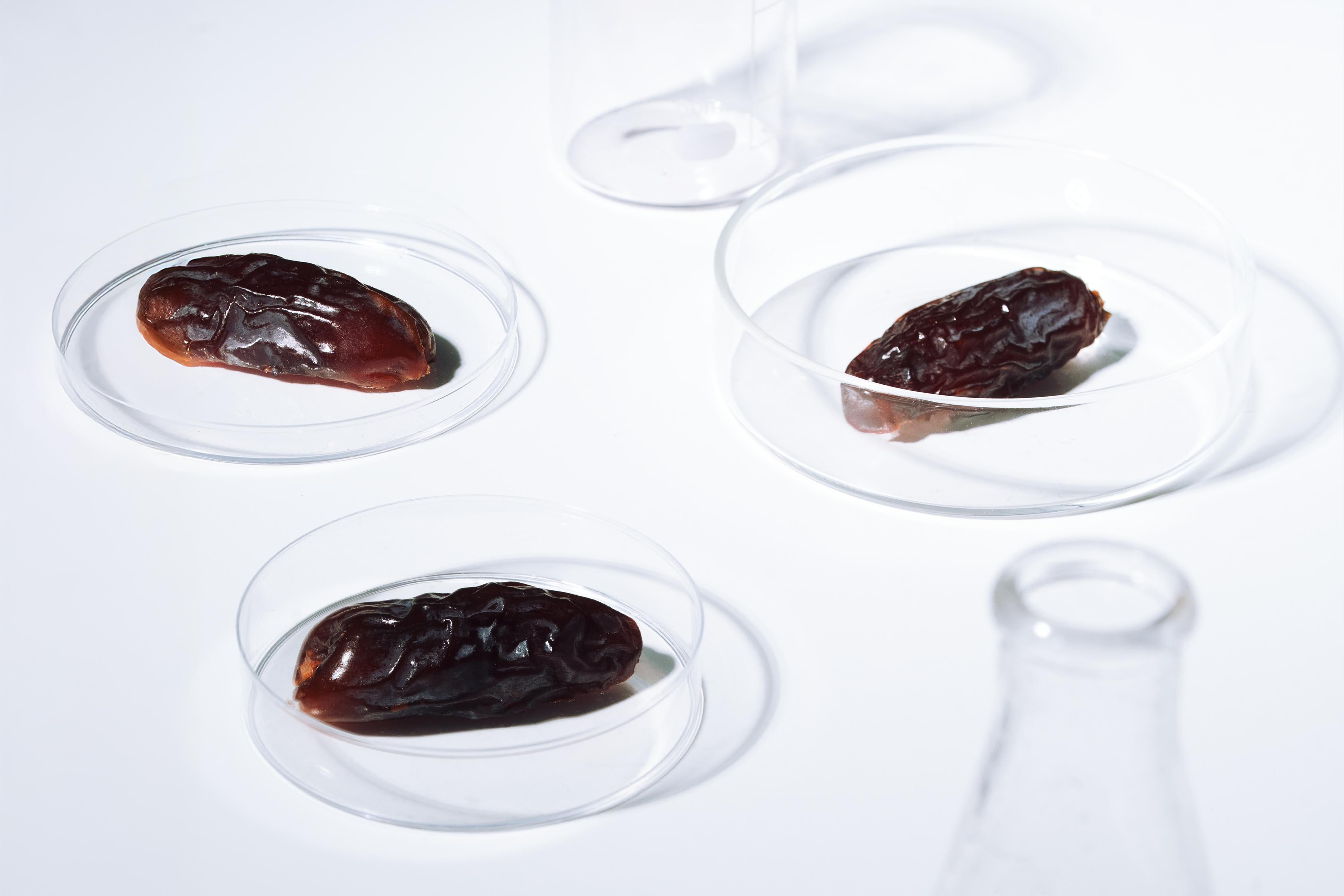Date Seed Extract: The Science Behind Dr Sebagh
