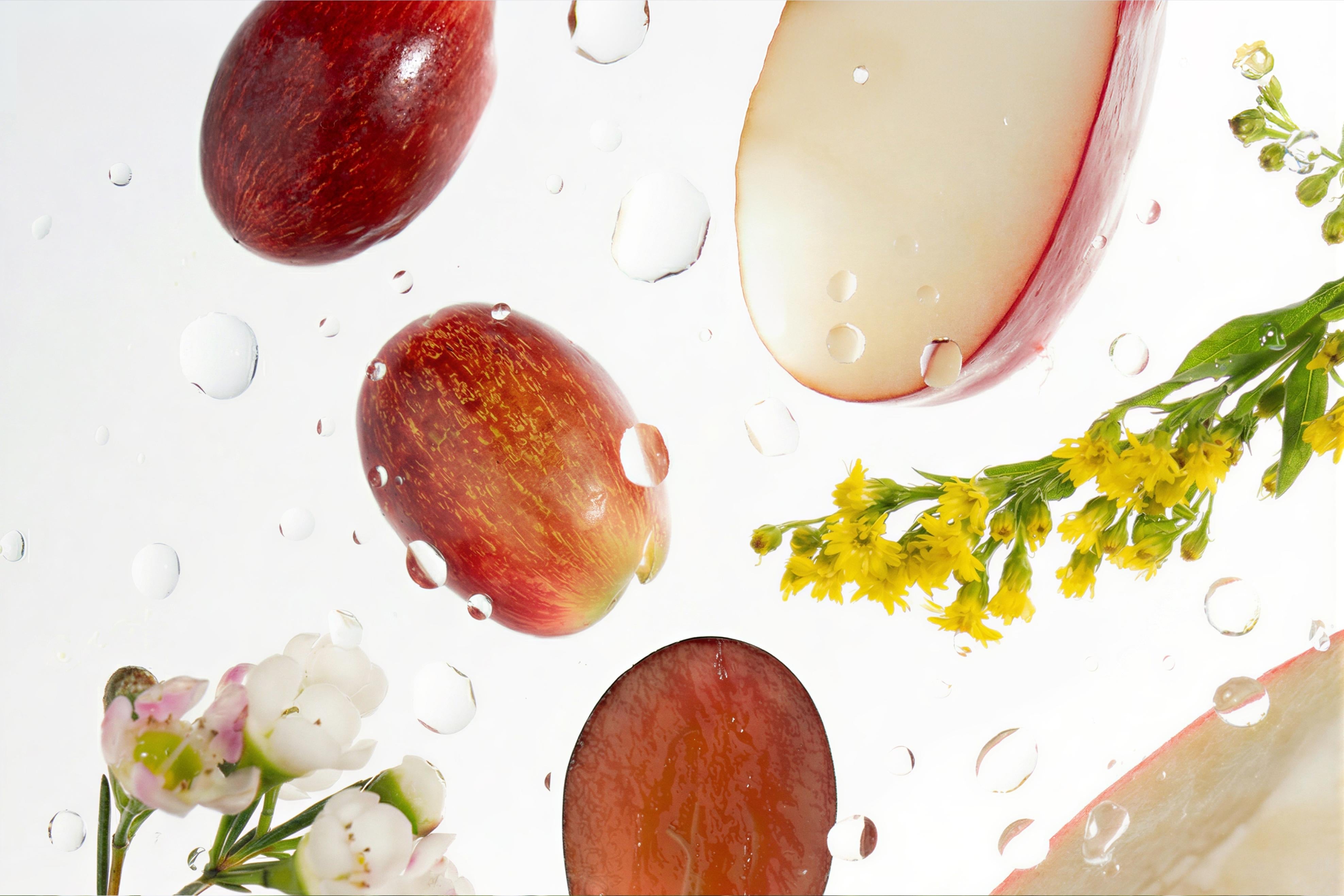 Botanical Active Ingredients in Skincare