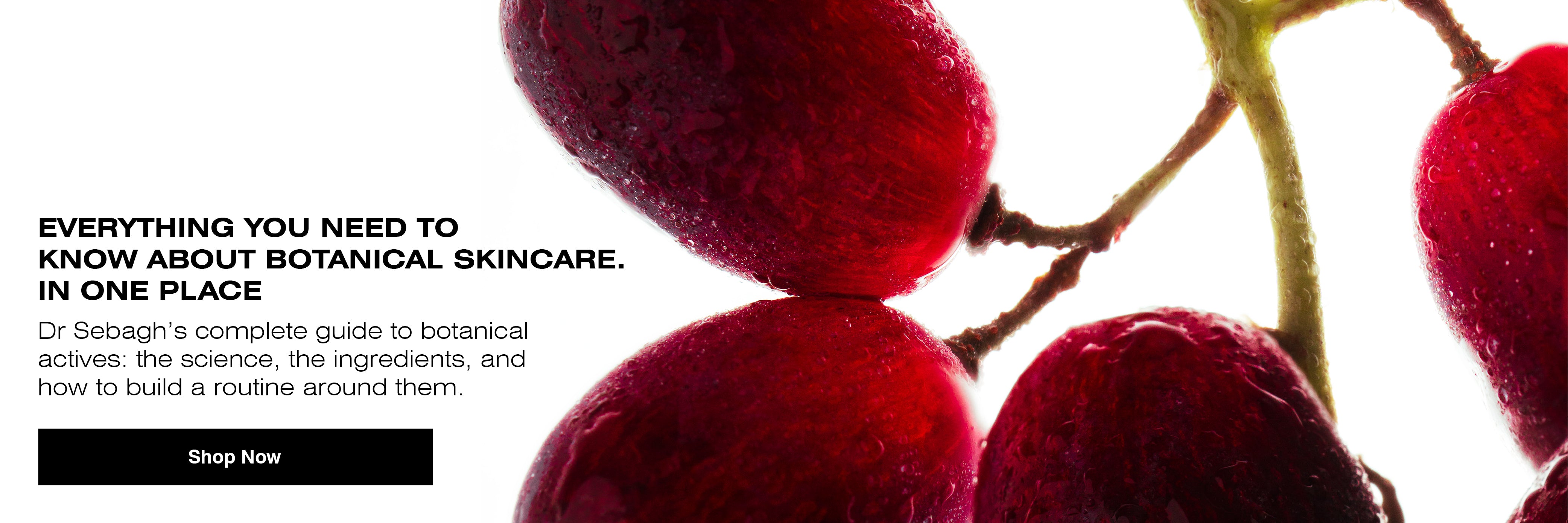 Dr Sebagh botanical skincare guide grapevine extract and botanical actives for anti-ageing skin care